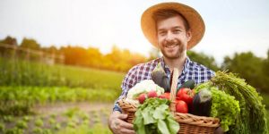 Blue Apron vegetarian meals