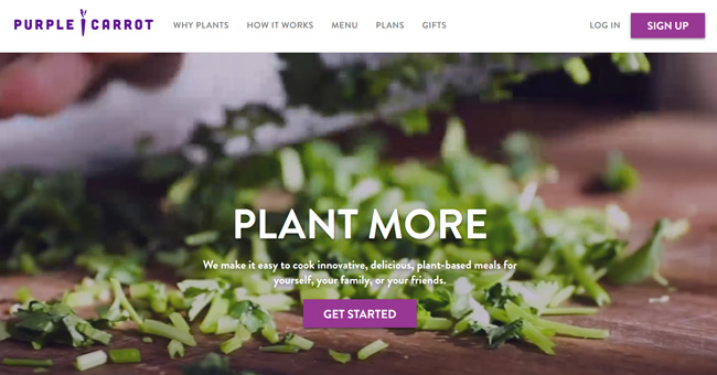 Purple Carrot printscreen homepage