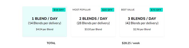 Little Spoon Review Pricing For Blends