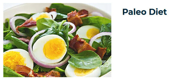 20Dishes paleo diet