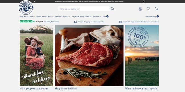 US Wellness Meats Review Homepage