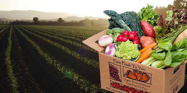 Farm Fresh To You box with fresh vegetables