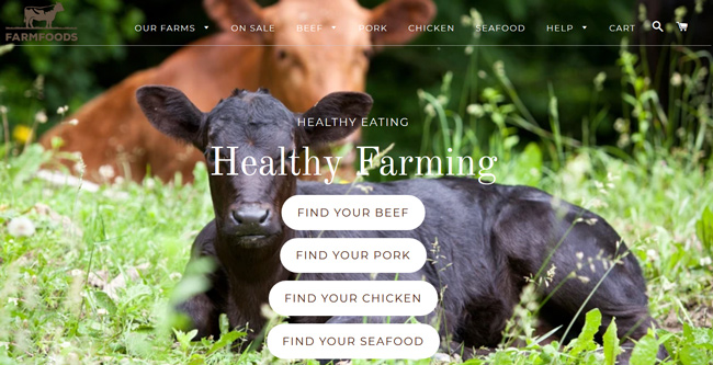 FarmFoods printscreen homepage