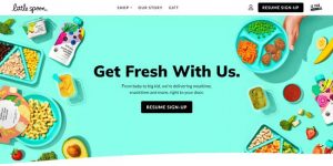 Little Spoon Baby Food Delivery Homepage